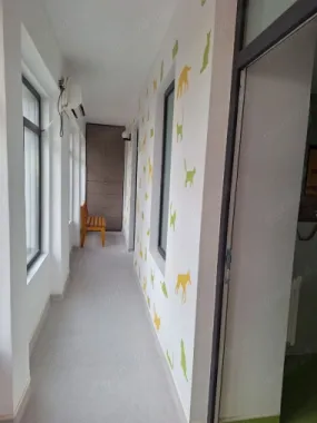 BRASADAS vinde casa 4 cam Sararie - Copou.