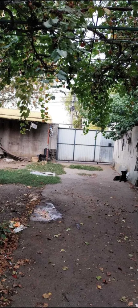 Constructie hala garaj plus teren , 300 mp, Sos. Fundeni, Stradal - Vand constructie hala garaj plus teren , suprafata totala 300 mp, Sos. Fundeni , Stradal, jumatate constructie jumatate curte. VIS-A-VIS de benzinaria LUKOIL.
Se poate folosi pt Atelier, firma, birouri, depozit, etc. Se poate amenaja interiorul si pt locuit, se poate compartimenta, are fundatie rezistenta, placa de beton, mansarda, acoperis. 
Exista bransament curent electric, , apa , canalizare, cu posibilitate bransament gaze si curent 380 chiar la poarta.. P tdetalii sunati la nr 07******84
