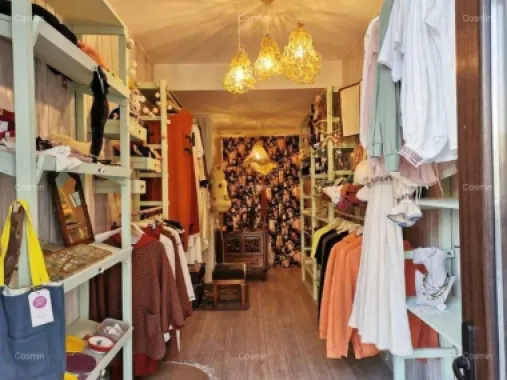 Spatiu Comercial Armeneasca - Carol I