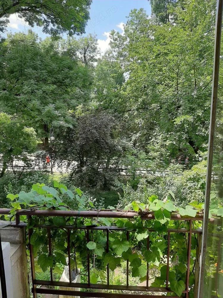 Vând apartament 185mp la Cișmigiu - Proprietar! Vând apartament 6 camere la Cișmigiu 185 mp compus din 6 camere, bucătărie, 3 grupuri sanitare, 2 balcoane și o terasa plus alte dependințe, apartamentul se afla la etajul 1 al unui bloc de 8 etaje monument istoric și cu risc seismic 1, blocul a fost construit între 1935-1939, dispune de lift este din cărămidă cu stâlpi din beton, se afla la întrare în Cișmigiu adresa find Intrarea Victor Eftimiu nr 9 prețul este de 350000 euro negociabil. !!! Fără intermediari !!!
Mulțumesc pt înțelegere.