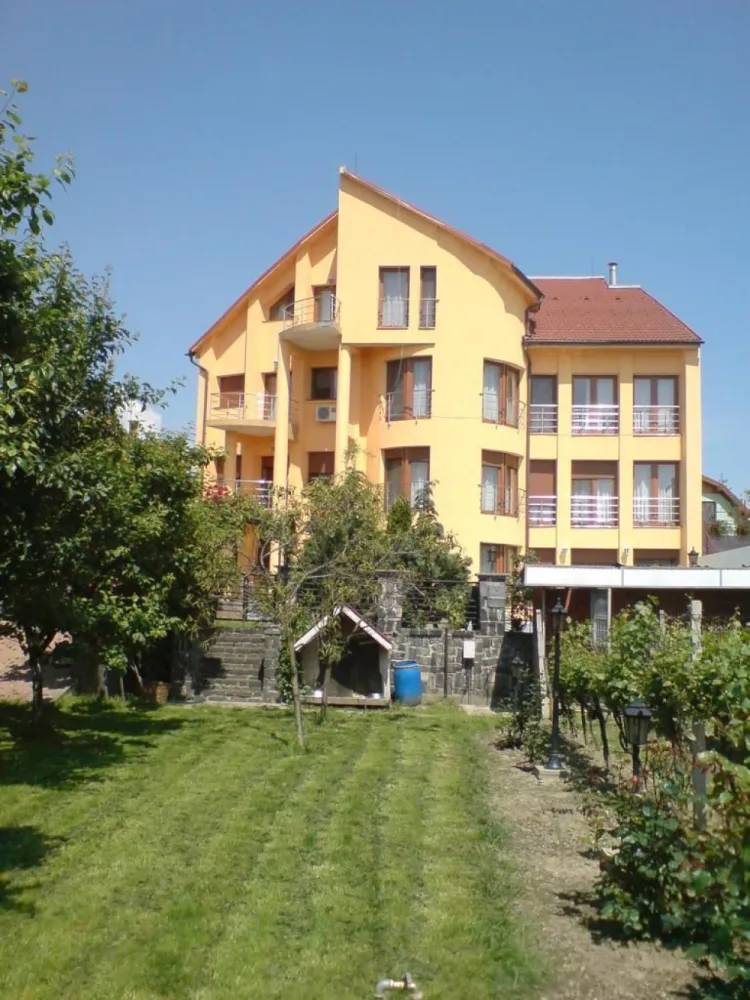 ageuropa.ro vinde casa 16 camere teren 1500mp in zona ULTRACENTRALA. - Agenția EUROPA vinde casa individuala construita in 2004 in zona ULTRACENTRALA, cu 10 dormitoare, 4 bai, 3 bucătarii, 3 garaje, terasa, piscina, foisor, curte si gradina 1500mp impreuna cu 1500mp teren aferent. 

Demisol - 3 garaje, centrala termica + 3 camere

Parter - 3 dormitoare, 2 wc, living, bucatarie, terasa, anexe ..

Etajul 1 - 3 dormitoare, 2 wc, living, bucatarie, anexe ..

Etajul 2 - 2 dormitiare, 2wc, living, scara interioara la mansarda ..

Mansarda 2 camere

Podul se mai poate compartimenta...