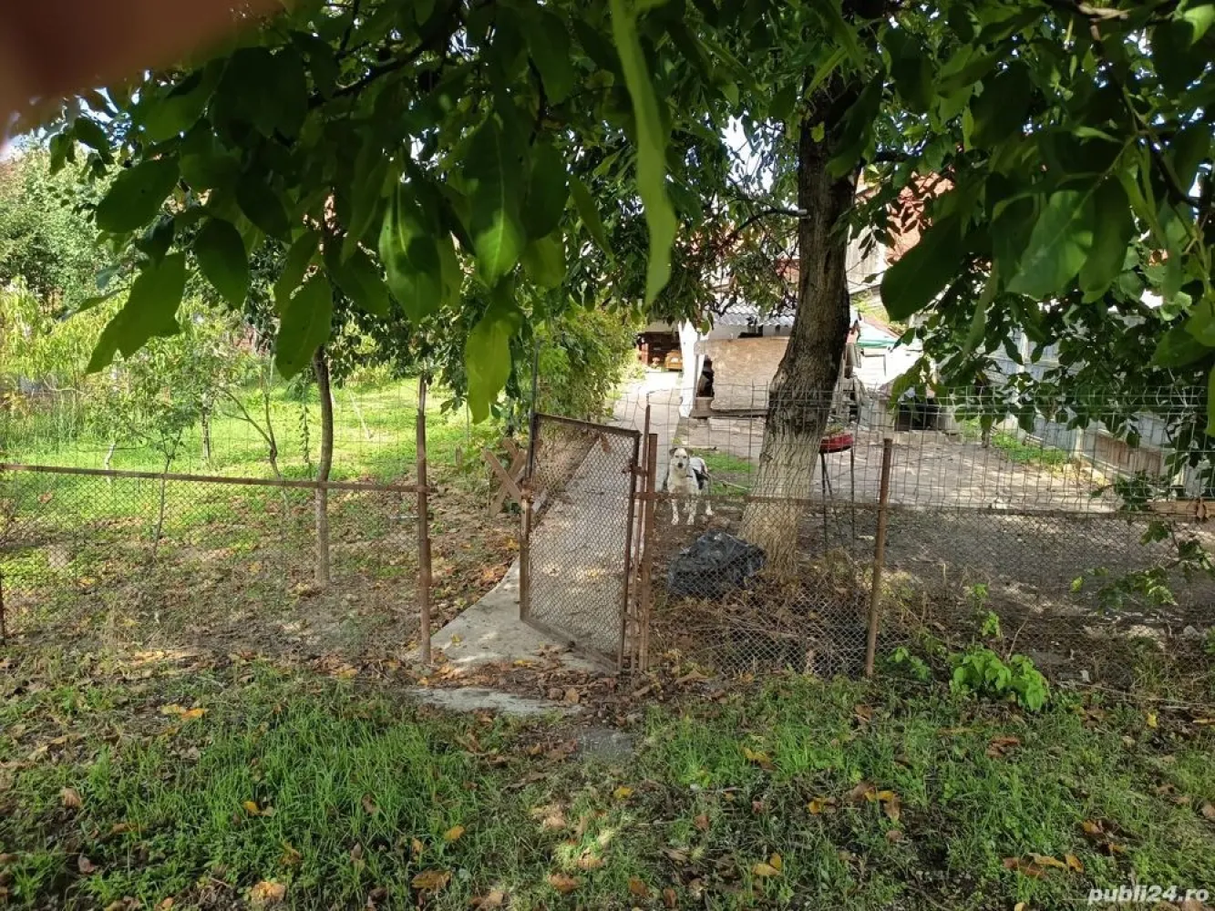 BRASADAS vinde casă 4 cam zona UNIO pentru două familii. - Agentia Imobiliara BRASADAS vinde casă pentru două familii in zona Unio , stradă liniștită, cu trafic redus . 
Casa are 4 camere, două bucătării, două băi, terasă 14 m pătrați, bucătărie de vară, beci, atelier utilat cu acces auto de la stradă și dinspre grădină . 
Suprafață utilă 117 m pătrați plus bucătăria de vară, suprafață teren, 468 mp cu posibilitate de extindere cu încă 70 mp (continuarea grădinii până la strada din spate), posibil încă un loc de casa.
www.brasadas.com.