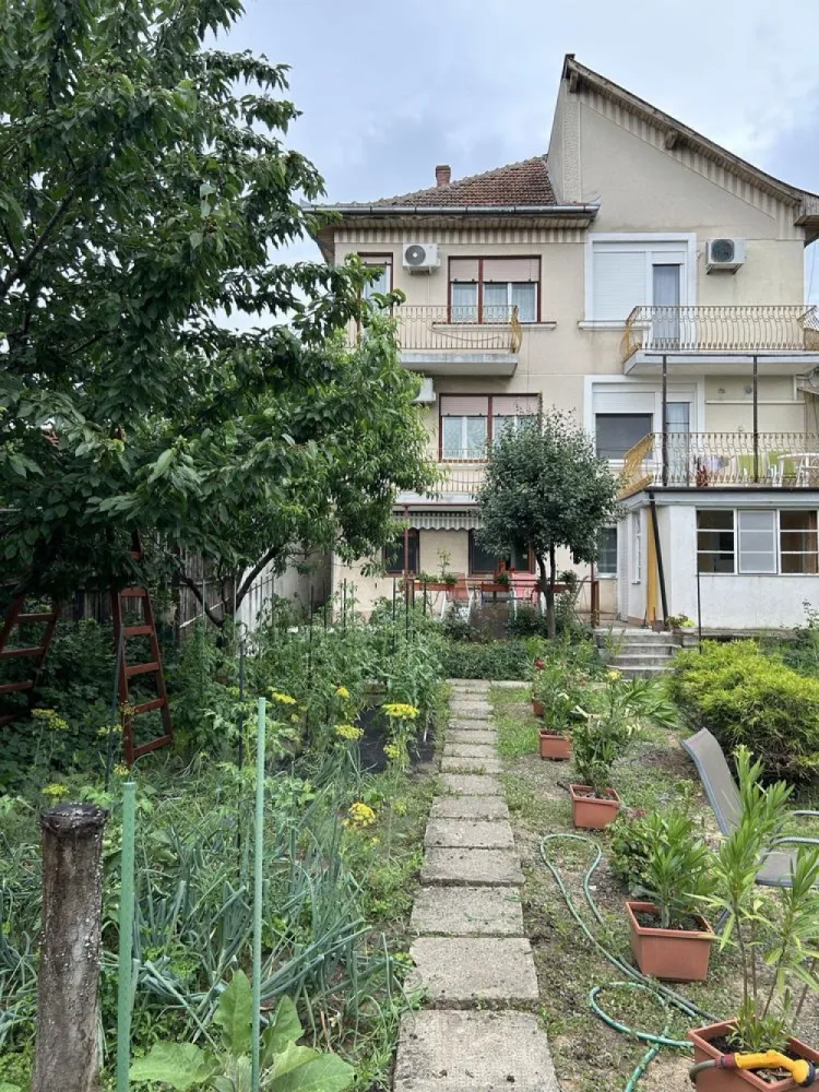 BRASADAS vinde casa pe strada Paris. - Agentia imobiliara BRASADAS vinde casa compusa din trei apartamente de locuit.

Doua sunt compartimentate identic, fiecare avand cate 120mp cu centrala termica proprie, 2 bai, 3 camere, bucatarie, living, debara si garaj cu camera tehnica si pivnita.

-Al treilea are 110m2 cu 2 camere,bucatarie,baie,living si la mansarda o camera cu baie.

-Toata casa are in jur de 350m2,cele trei zone de locuit fiind contorizate separat.

-Terenul are 840 m2,in gradina fiind construit si o bucatarie de vara cu un mic atelier,zona de barbeque etc..

www.brasadas.com.