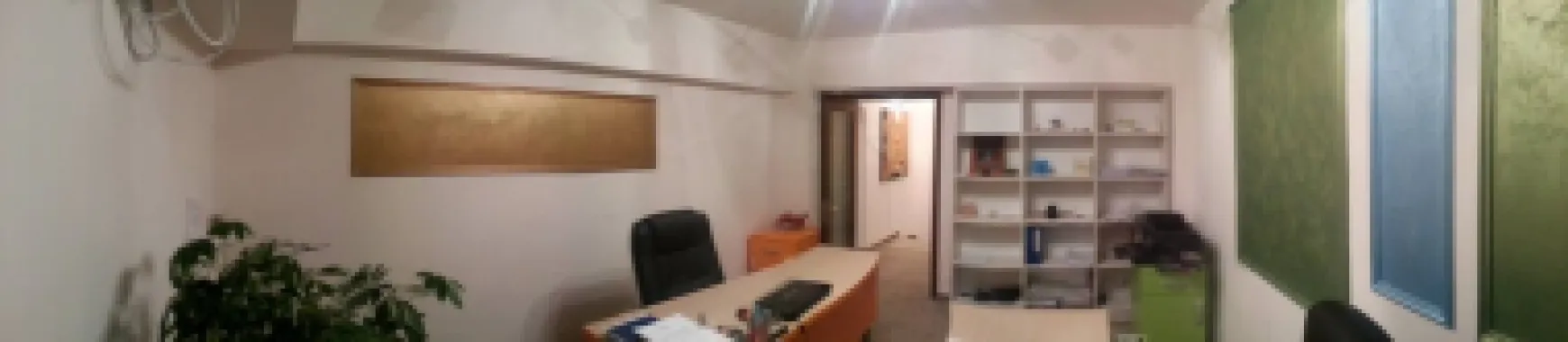 Închiriere Duplex Lux 123 m2 utili | Bd. Unirii, Et 8-9, Birou, vedere